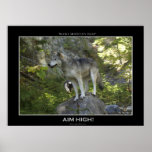 ROCKY MOUNTAIN WOLVES Poster