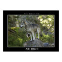 ROCKY MOUNTAIN WOLVES Poster posters by WILDERNESS_SHOP ROCKY MOUNTAIN WOLVES Poster posters