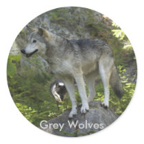 ROCKY MOUNTAIN WOLVES Stickers by RavenSpiritPrints ROCKY MOUNTAIN WOLVES Stickers
