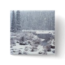 Rocky Mtn Winter Snow buttons