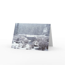 Rocky Mtn Winter Snow cards