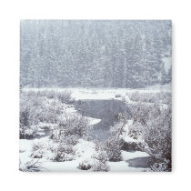 Rocky Mtn Winter Snow magnets