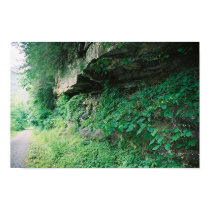 Rocky Path posters