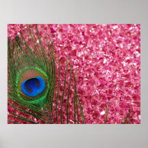 Rocky Pink Peacock Feather Posters