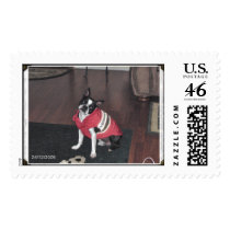 rocky postage