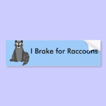 Rocky Raccoon bumper stickers