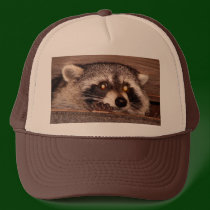 Rocky Raccoon hats