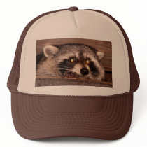 Rocky Raccoon hats