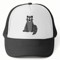 Rocky Raccoon hats