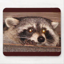 Rocky Raccoon mousepads