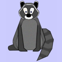 Rocky Raccoon t-shirts