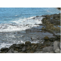 Rocky Sea photo sculptures