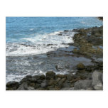 Rocky Sea Post Card
