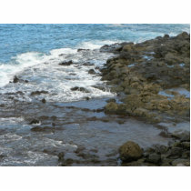 Rocky Sea Shore photo sculptures