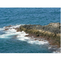 Rocky Sea Shore Water photo sculptures