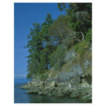 Rocky Shore flyers