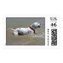 rocky_swimming_2 postage by lonleygirl_10 rocky_swimming_2 postage