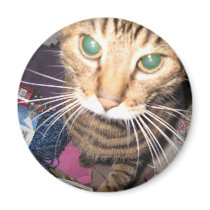 Rocky the Cat Magnet