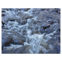 Rocky Waters Full Color Flyer