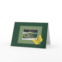 rockyj  Park Bench cards