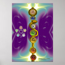ROD OF ASCLEPIUS WITH 7 CHAKRAS ,SPIRITUAL ENERGY POSTERS