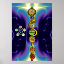 ROD OF ASCLEPIUS WITH 7 CHAKRAS ,SPIRITUAL ENERGY POSTER