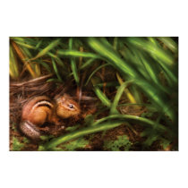 Roden - Cute little chipmunk posters