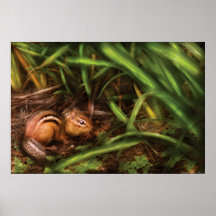 Roden - Cute little chipmunk Poster