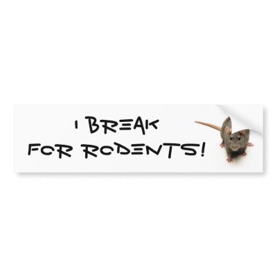 Rodent Bumper Sticker by nanayane