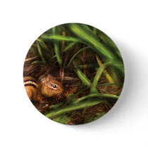 Rodent - Cute little chipmunk buttons