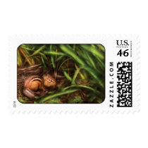 Rodent - Cute little chipmunk postage by suburbanscenes Rodent - Cute little chipmunk postage