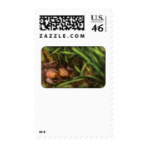 Rodent - Cute little chipmunk postage by suburbanscenes Rodent - Cute little chipmunk postage