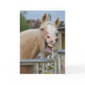 Rodeo Bob Horse Birthday Card