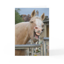 Rodeo Bob Horse Birthday Card by HoofNPaws Rodeo Bob Horse Birthday Card