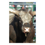 Rodeo Bull Customized Stationery