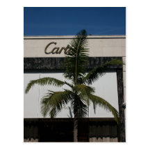 Rodeo Dr. Postcard