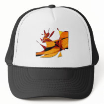 Rodeo Mesh Hat