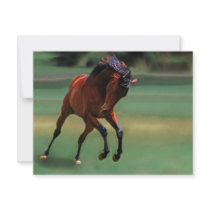 Rodeo invitations
