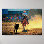 Rodeo Poster posters