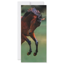 Rodeo rack cards
