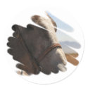 Rodeo Stallion Horse Photo Stickers