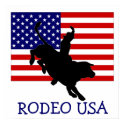 RODEO USA posters by CowboyEd RODEO USA posters