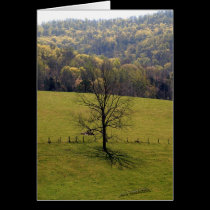 Rodgers Hollow cards