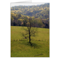 Rodgers Hollow cards by bhbphotos Rodgers Hollow cards
