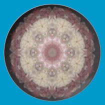 Rodinata plates