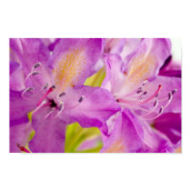 Rododendren Poster posters by orglioness Rododendren Poster posters