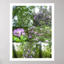 Rododendro en maderas poster