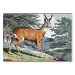 Roebuck Deer Art Table Cards