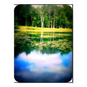 roethke park in fall posters