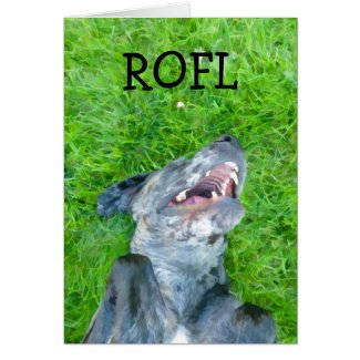 ROFL GREETING CARDS